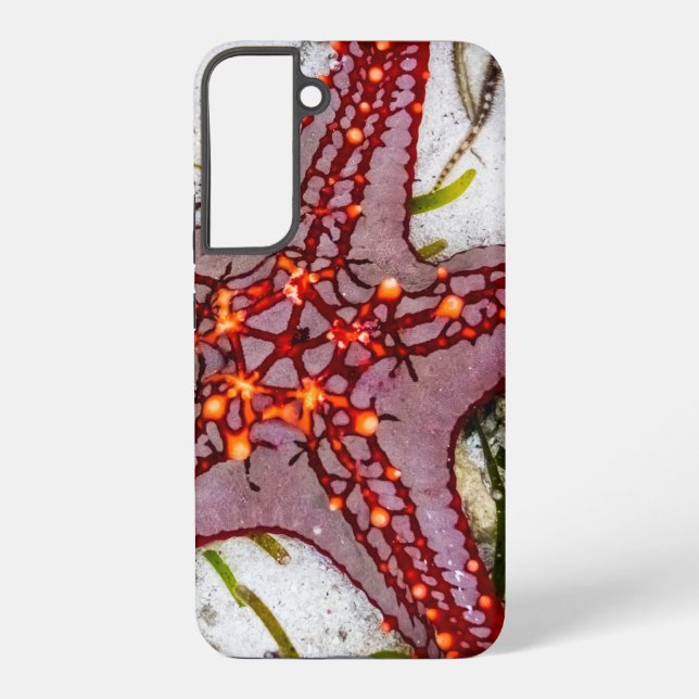 Starfish, Sansibar, Tansania Samsung Galaxy Hülle (Rückseite)