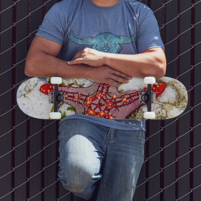 Starfish, Sansibar, Tansania Skateboard (Außenbereich 3)