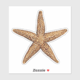 Starfish - Sea Star Aufkleber