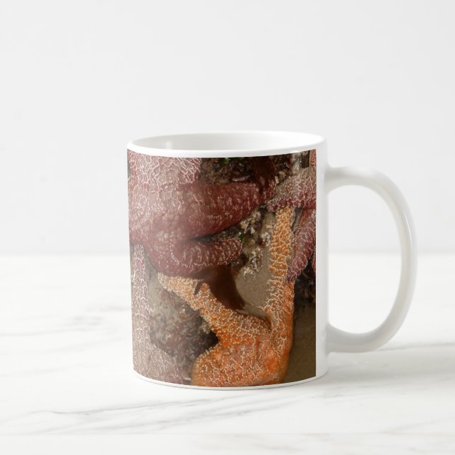 Starfish/Sea Stars in Cannon Beach, OR, Foto 4 Kaffeetasse (Rechts)