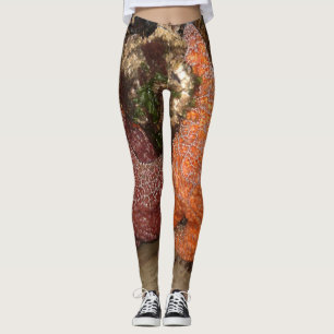 Starfish/Seesterne in der Kanone setzen ODER, Foto Leggings