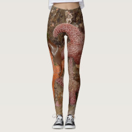 Starfish/Seesterne in der Kanone setzen ODER, Foto Leggings