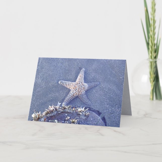 Starfish Semi getersed Card Karte (Vorderseite)