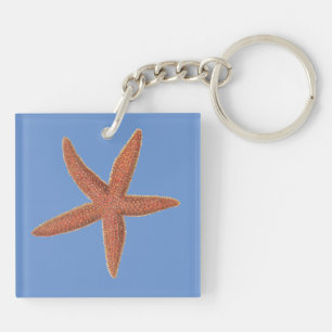 Starfish - Sherman Denton Fish Lithograph