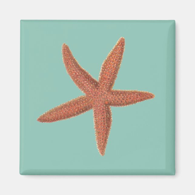 Starfish - Sherman Denton Fish Lithograph Magnet (Vorne)