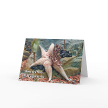 Starfish Spaß zum Nachdenken