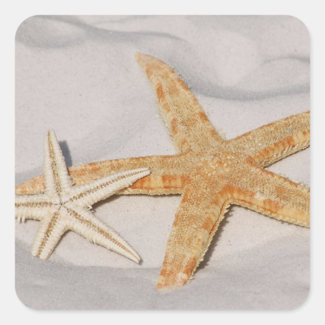 Starfish Sticker (Vorderseite)
