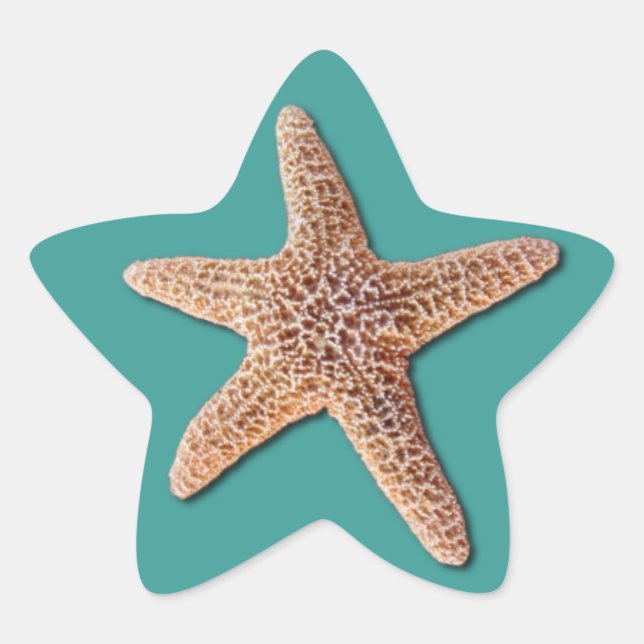 Starfish Sticker - Türkis (Vorderseite)