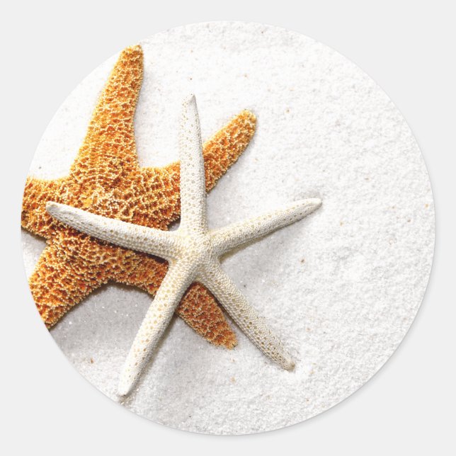 Starfish Stickers (Vorderseite)
