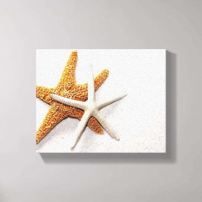 Starfish Stretched Canvas Print Leinwanddruck (Vorderseite)