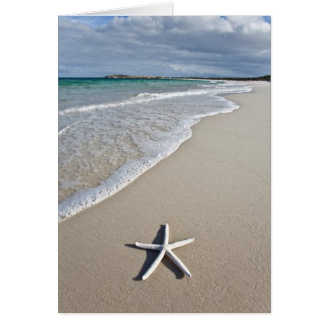 Starfish Sur Une Plage Éloignée (Devant)