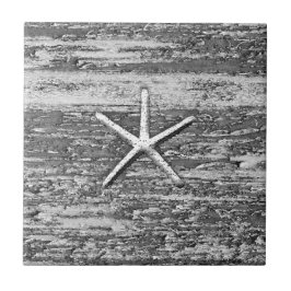 Starfish Treibholz Schwarz und Weiß Fliese