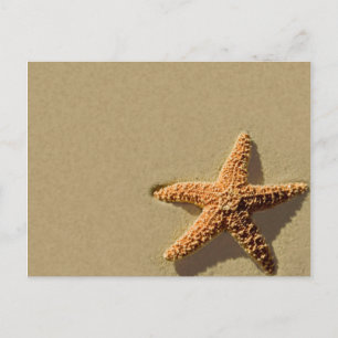 Starfish Tropical Event Plage Mariage Invitation