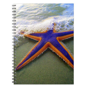 Starfish Tropical Sandy Beach Wave Notizblock