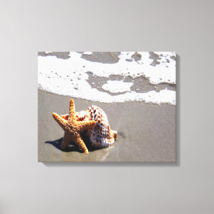 Starfish und Muschel Leinwanddruck