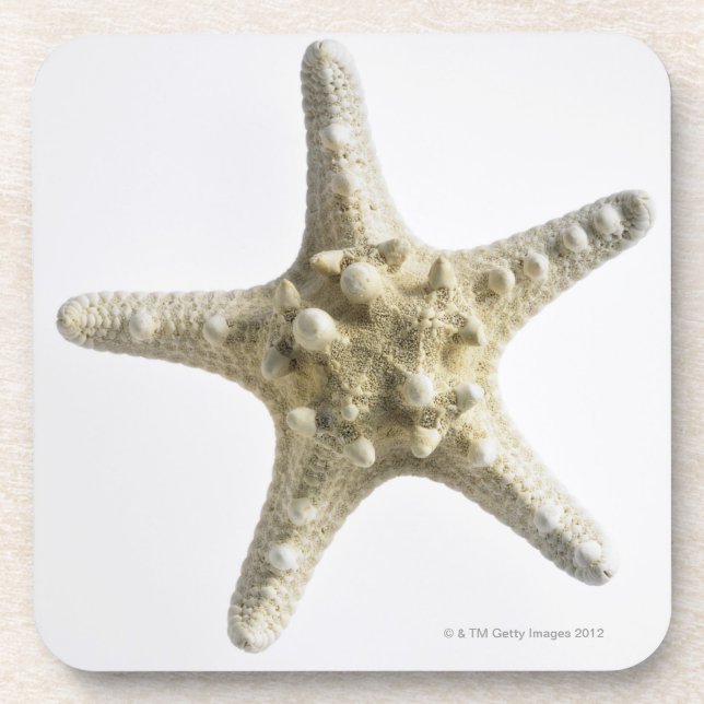 Starfish Untersetzer (Vorderseite)