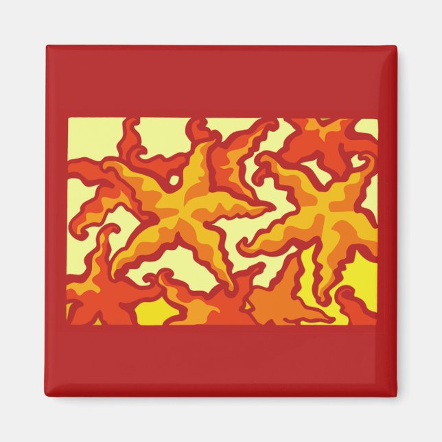 Starfish-Zusammensetzung Magnet (Vorne)