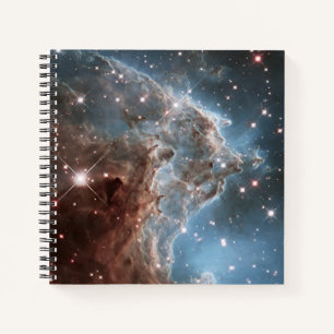 Starforming Region Ngc 2174, Affenkopfnebel. Notizbuch