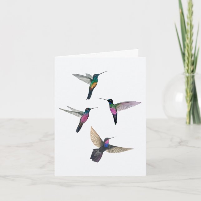 Starfrontlet Hummingbirds Karte (Vorderseite)