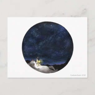 Stargazer Cat Postcard Postkarte