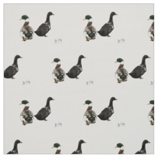Stargazer Drake und sein Stoff aus Lady Duck - wei