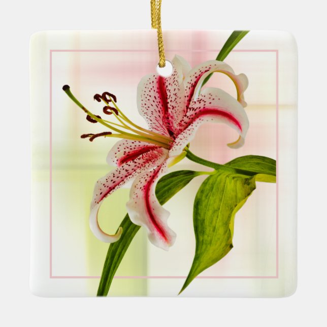 Stargazer Elegant Star Lily Floral Fotografie Keramikornament (Vorderseite)