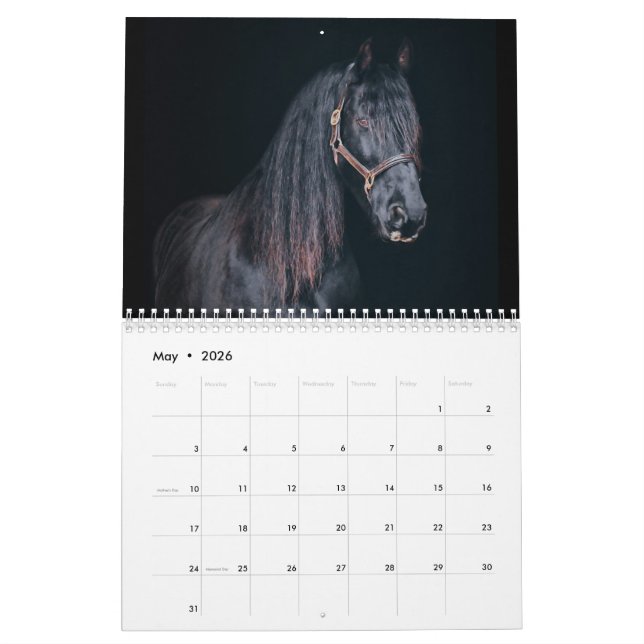 Stargazer Farm Pferde Kalender (Mai 2026)