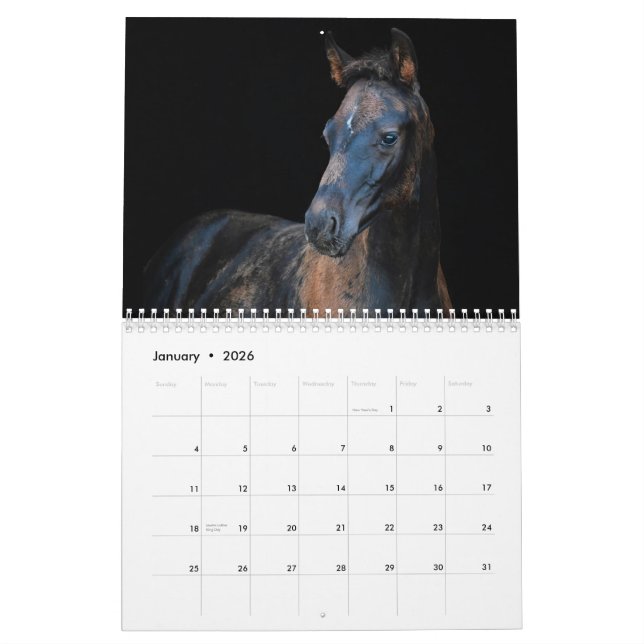 Stargazer Farm Pferde Kalender (Jan 2026)