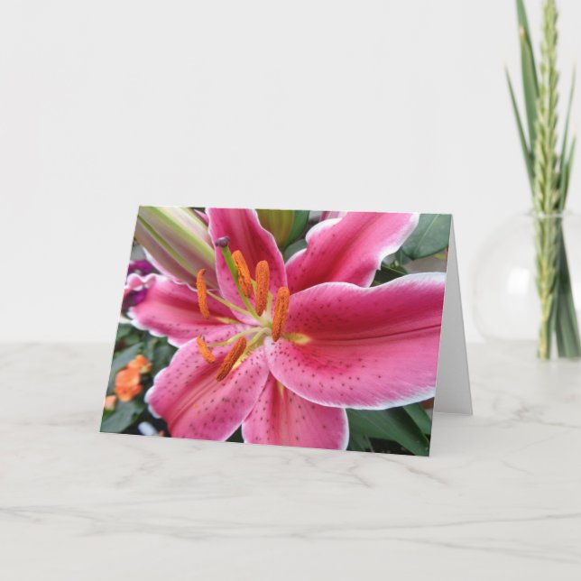 Stargazer Karte (Vorderseite)