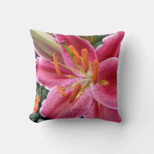 Stargazer Kissen