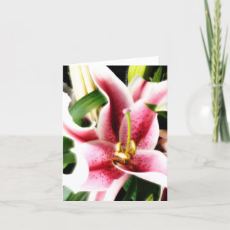 Stargazer-Lilie Notecard Karte