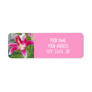 STARGAZER-LILIEN-ADRESSEN-ETIKETT