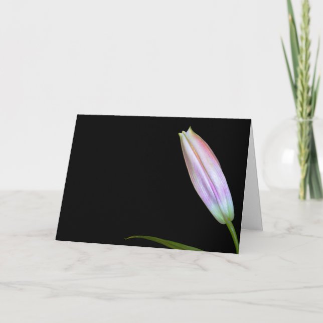 Stargazer-Lilien-Knospe Karte (Vorderseite)
