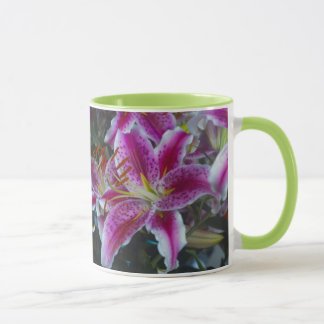 Stargazer-Lilien Rosa u. Magenta Tasse