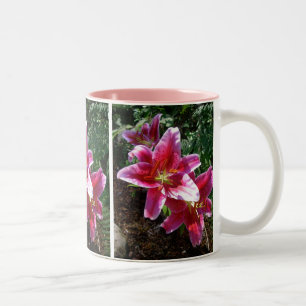 Stargazer-Lilien Zweifarbige Tasse