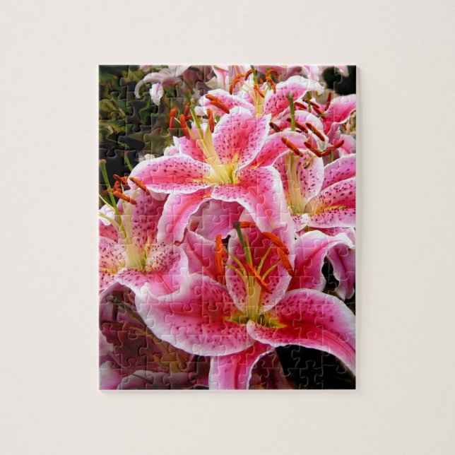 "Stargazer" Lilies (Vertikal)