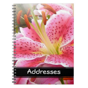 "Stargazer" Lilies-Adresse Notizblock
