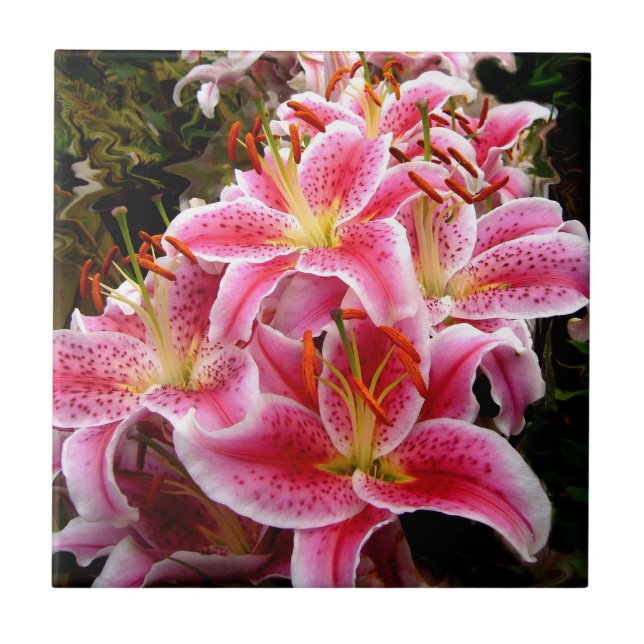 "Stargazer" Lilies Fliese (Vorderseite)