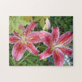 Stargazer Lilies Garden