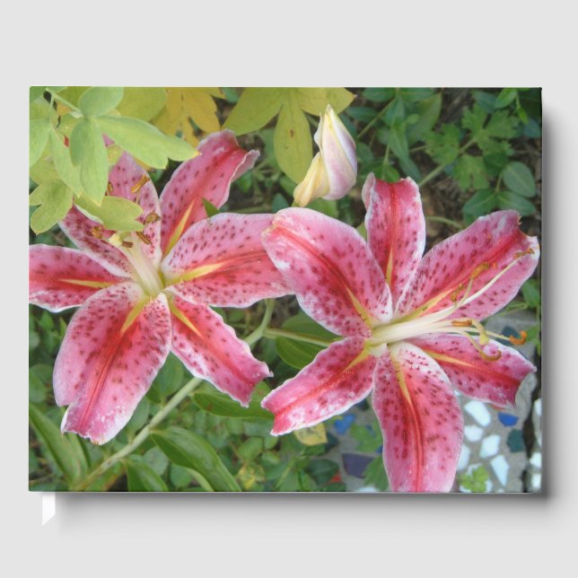 Stargazer Lilies Garden Gästebuch (Vorderseite)