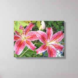Stargazer Lilies Garden Leinwanddruck