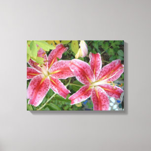 Stargazer Lilies Garden Leinwanddruck
