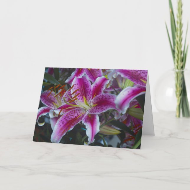 Stargazer Lilies Pink & Magenta Karte (Vorderseite)