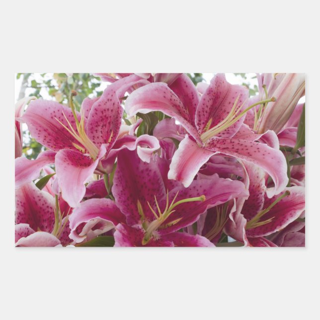 Stargazer Lilies Rechteckiger Aufkleber (Vorderseite)