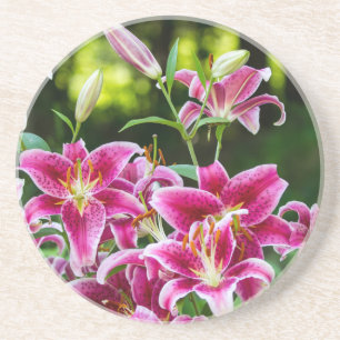 Stargazer Lilies Untersetzer