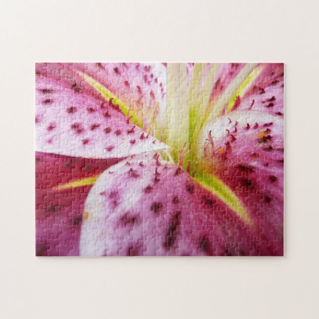 Stargazer Lily Bright Magenta (Horizontal)