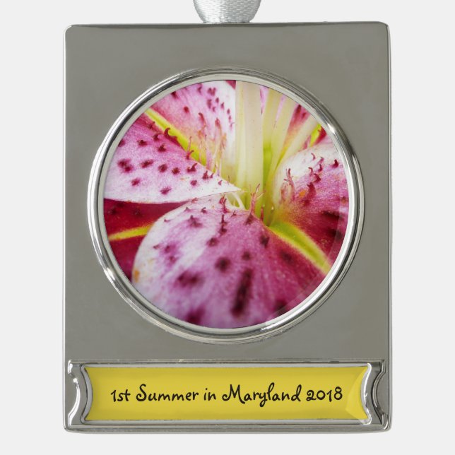Stargazer Lily Bright Magenta Banner-Ornament Silber (Vorderseite)