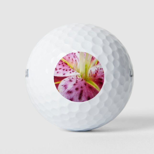 Stargazer Lily Bright Magenta Golfball (Vorderseite)