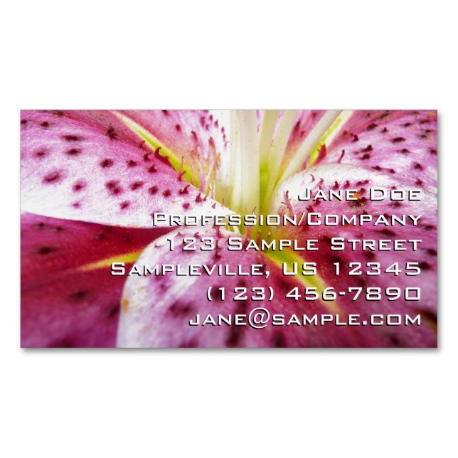 Stargazer Lily Bright Magenta Magnetische Visitenkarte (Vorderseite)