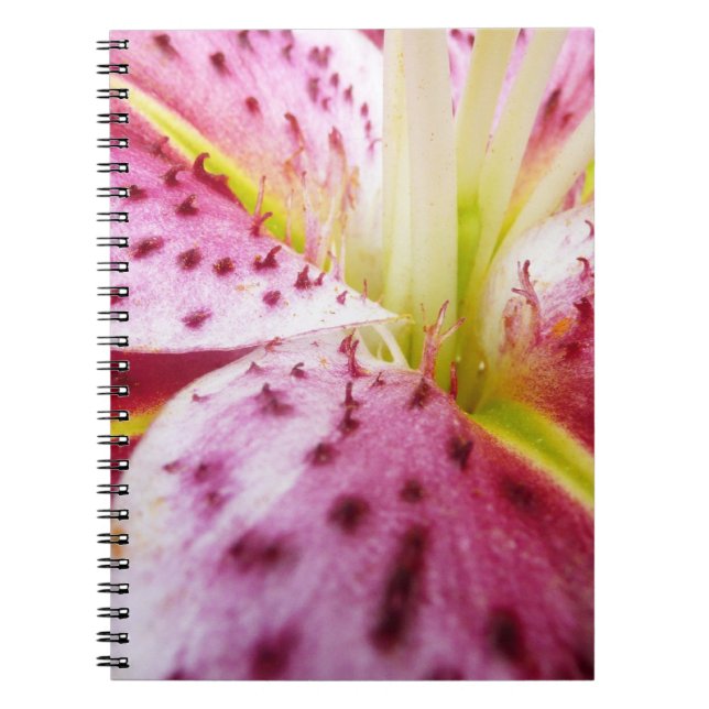Stargazer Lily Bright Magenta Notizblock (Vorderseite)